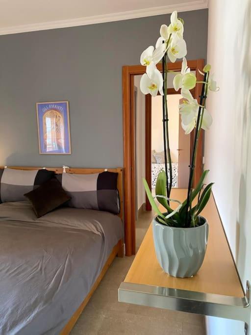 A Casa Di Tina Apartment Genzano di Roma