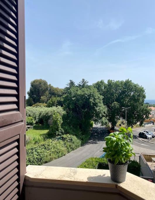 A Casa Di Tina * Genzano di Roma